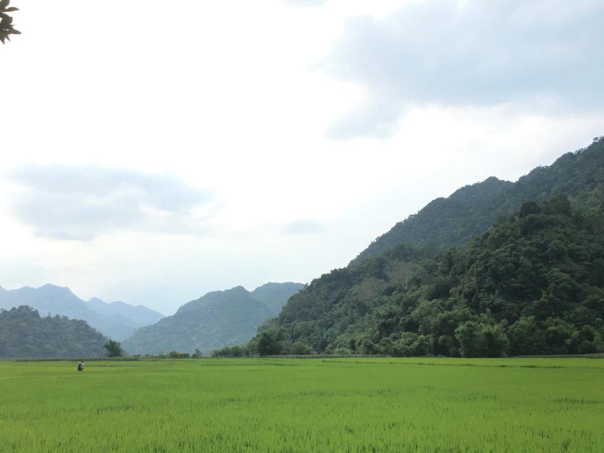 Hoang Quan Homestay Ba Be Экстерьер фото